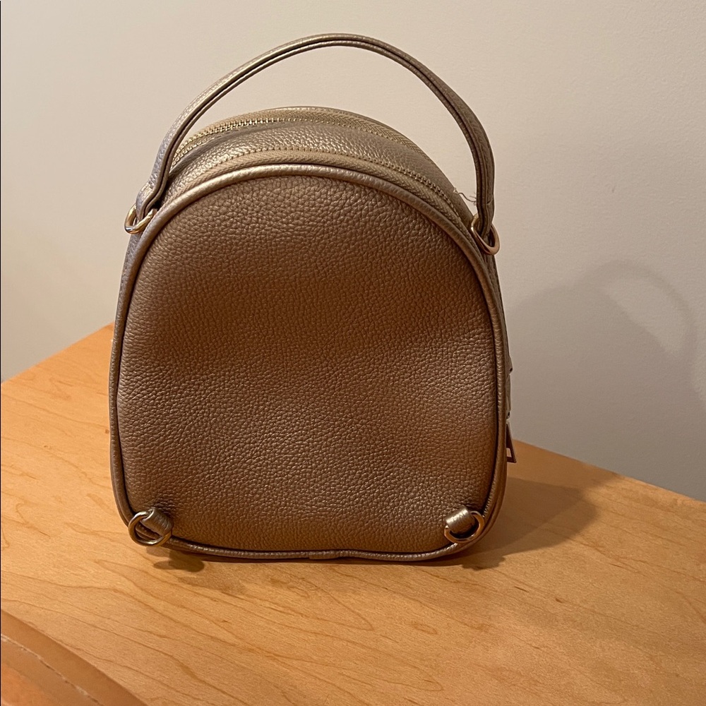 Miniature Crossbody/Backpack - Picture 3 of 6